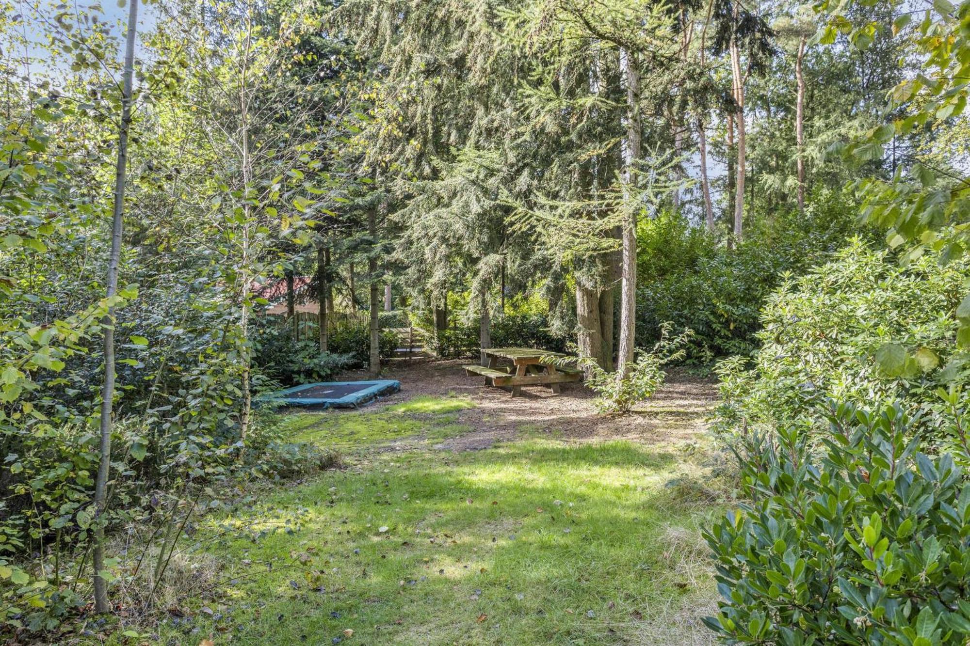 Relaxen In Het Bos Met Privesauna Holten Zewnętrze zdjęcie
